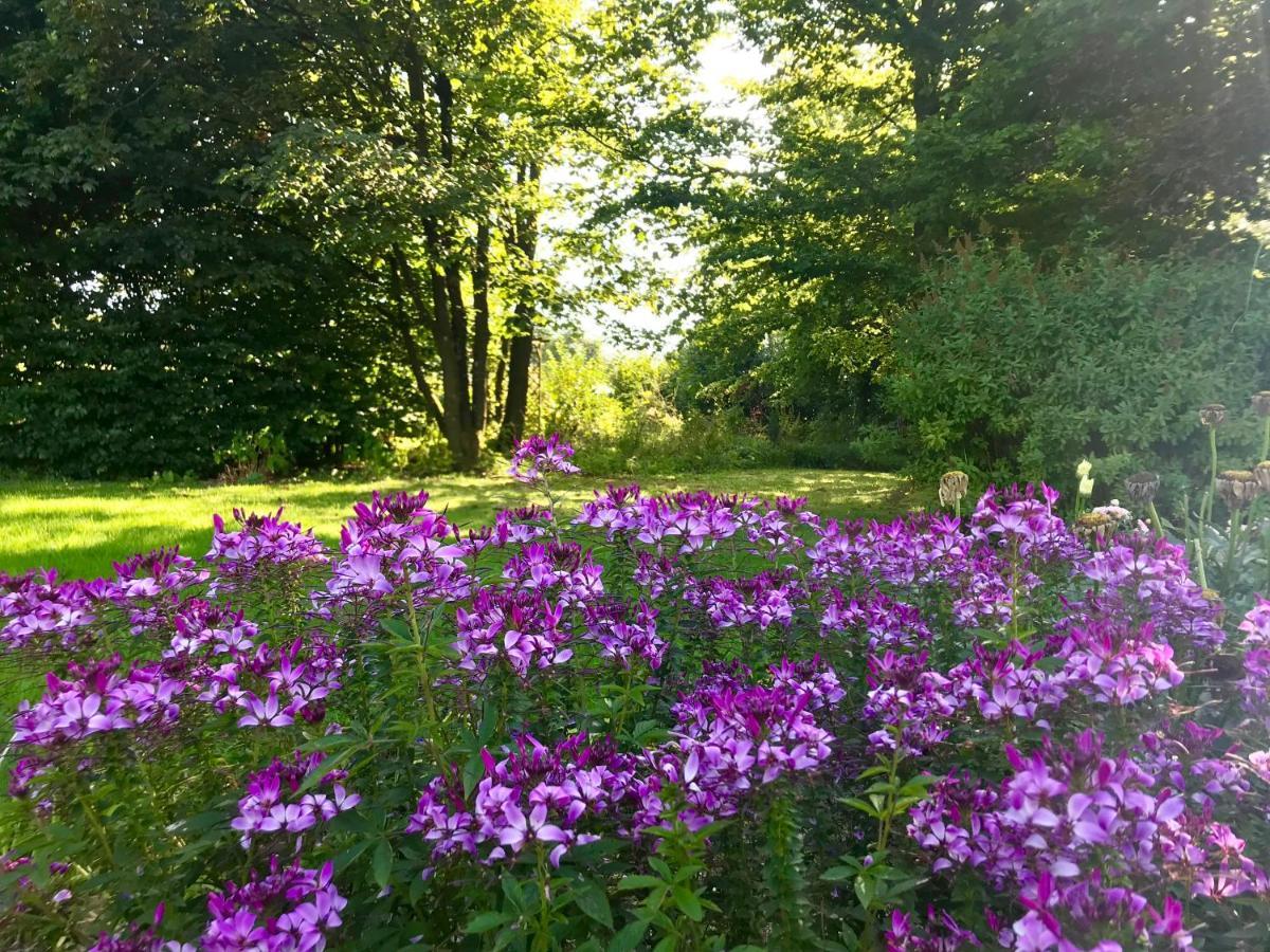 "Un Matin Au Jardin" Bed and Breakfast Francorchamps Eksteriør billede